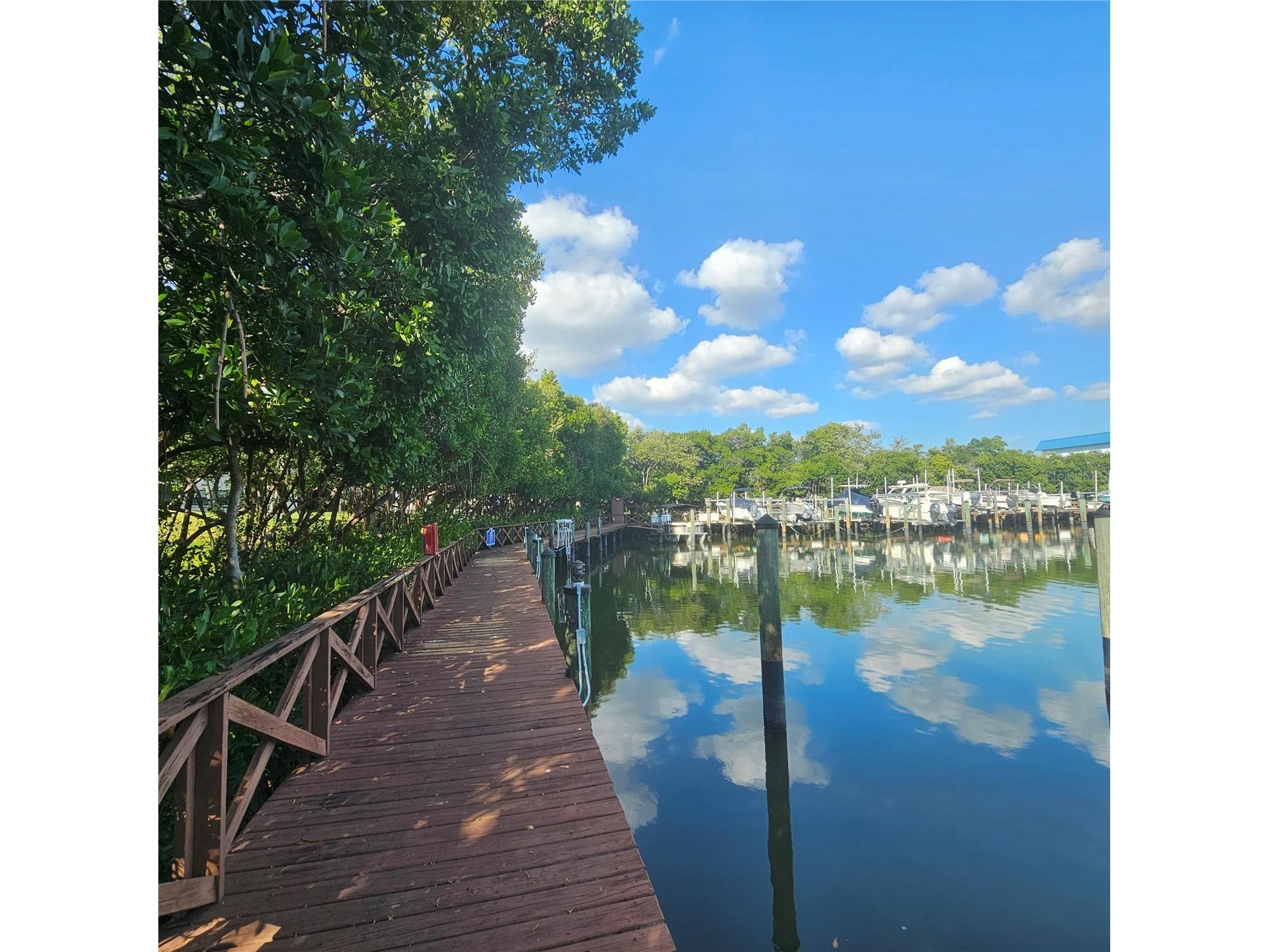 1332 Pasadena Avenue S #501 South Pasadena FL 33707 - BOCA CIEGA BAY TB8452052 image42