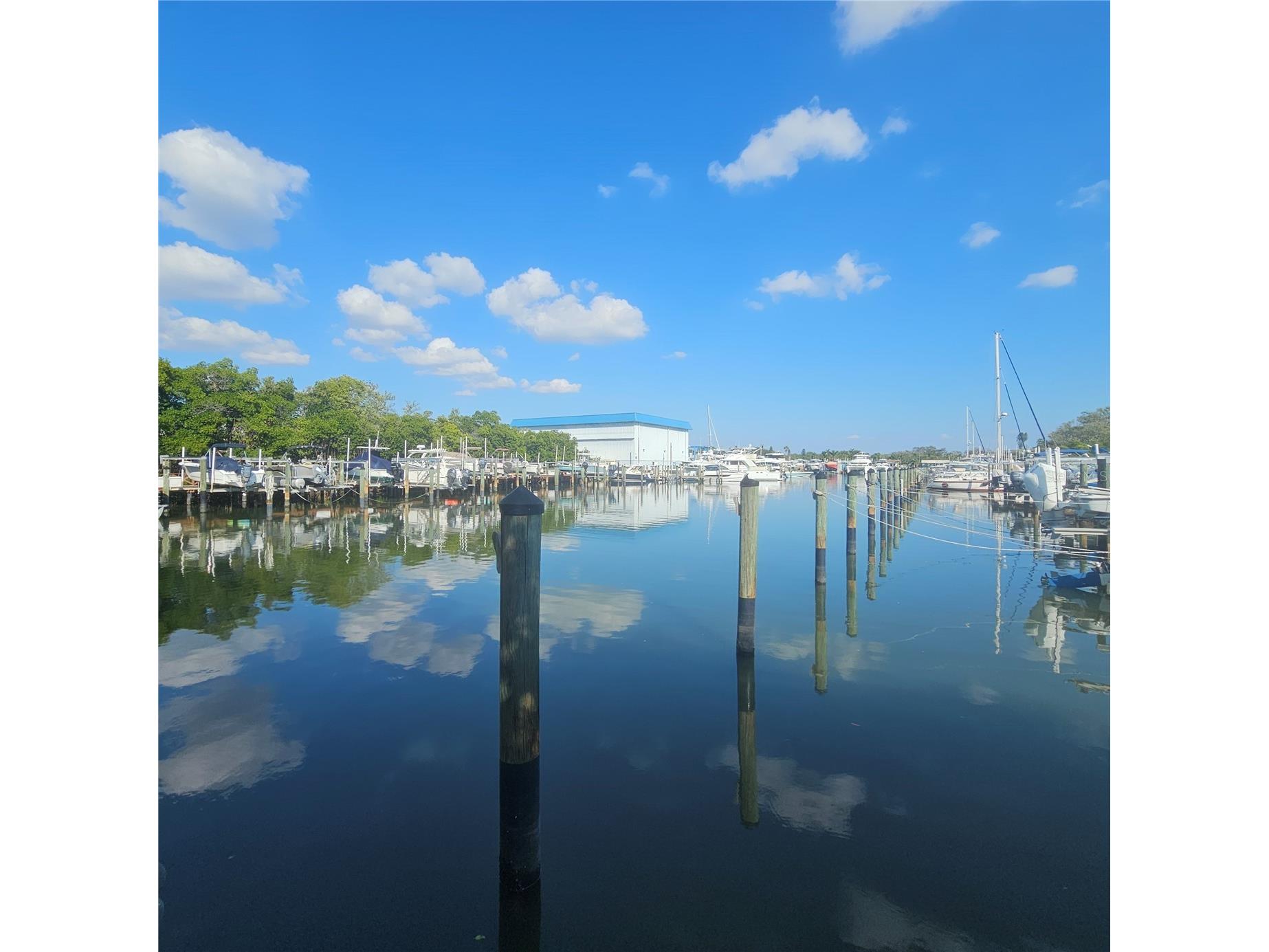 1332 Pasadena Avenue S #501 South Pasadena FL 33707 - BOCA CIEGA BAY TB8452052 image43