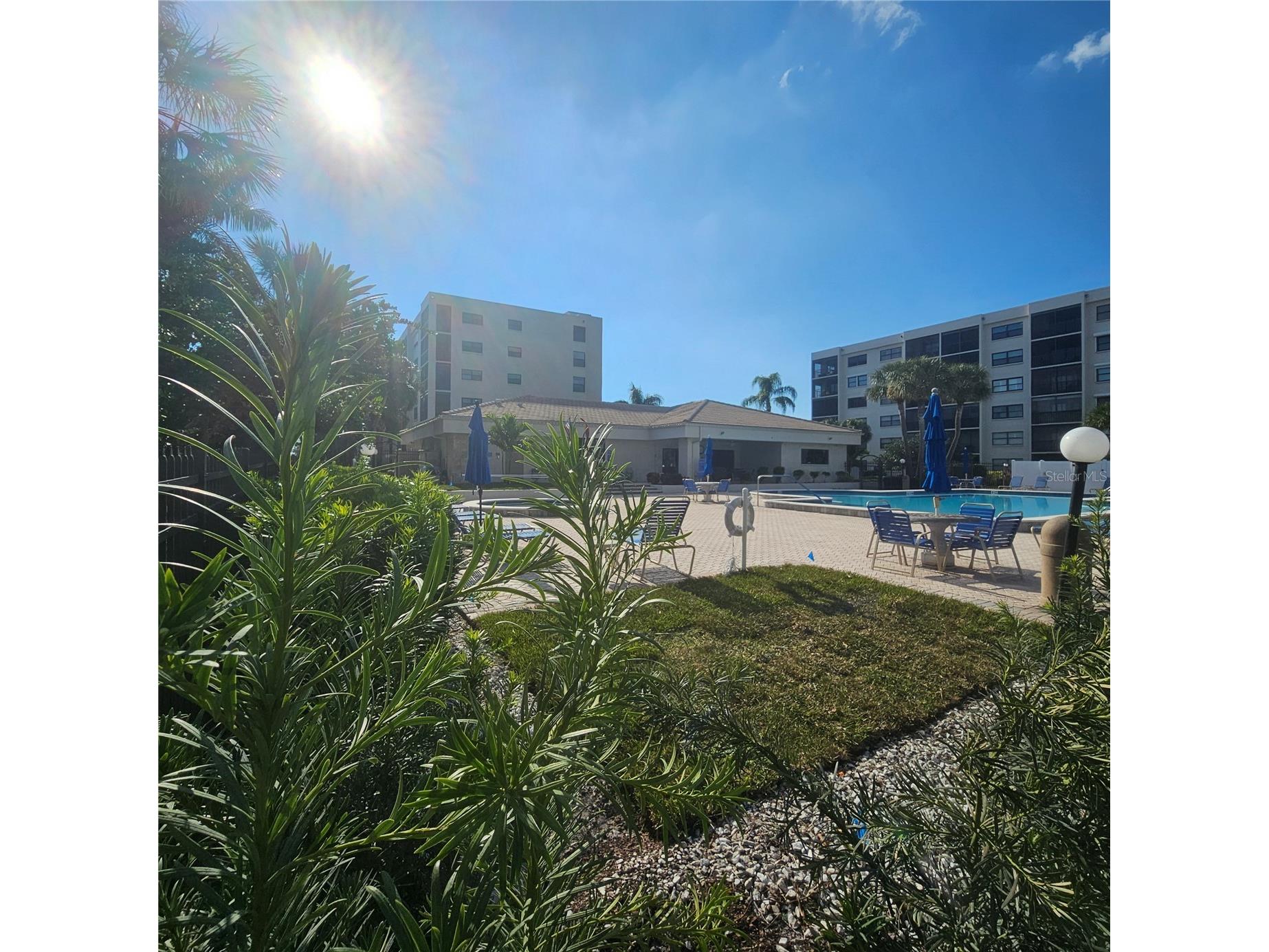 1332 Pasadena Avenue S #501 South Pasadena FL 33707 - BOCA CIEGA BAY TB8452052 image54