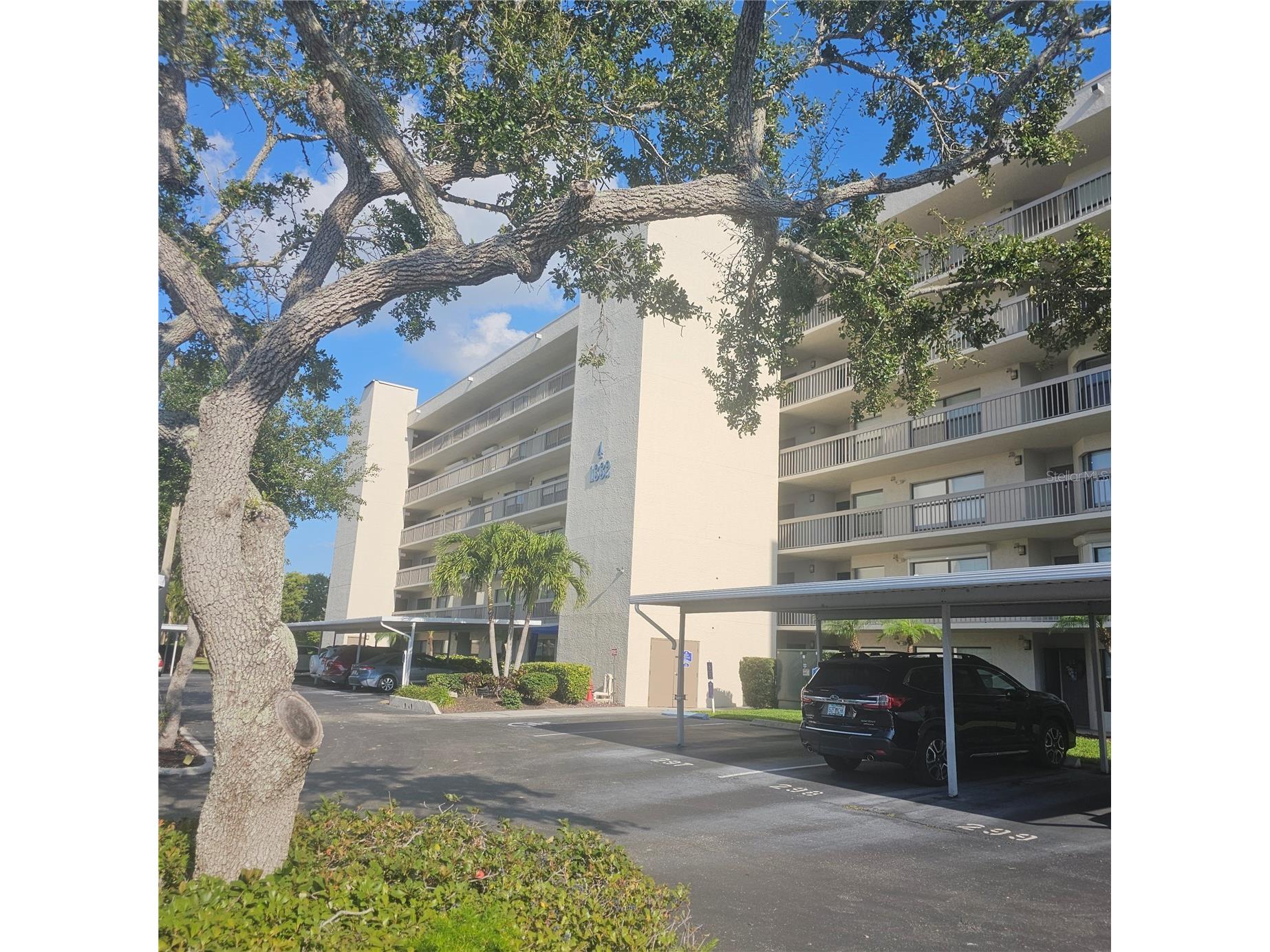 1332 Pasadena Avenue S #501 South Pasadena FL 33707 - BOCA CIEGA BAY TB8452052 image6