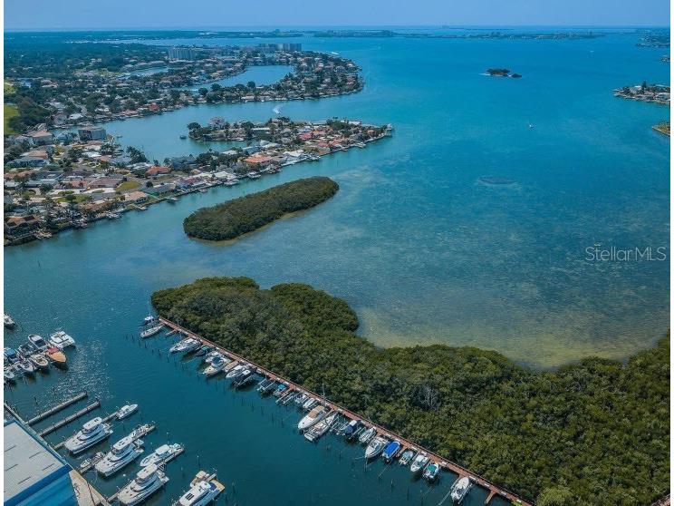 1332 Pasadena Avenue S #501 South Pasadena FL 33707 - BOCA CIEGA BAY TB8452052 image65