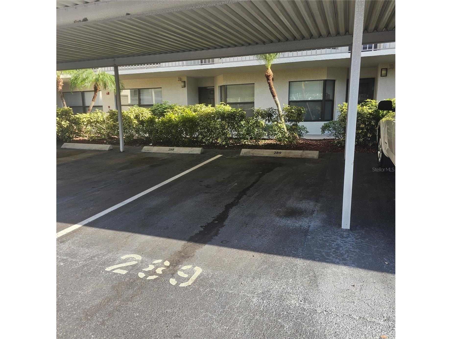 1332 Pasadena Avenue S #501 South Pasadena FL 33707 - BOCA CIEGA BAY TB8452052 image8