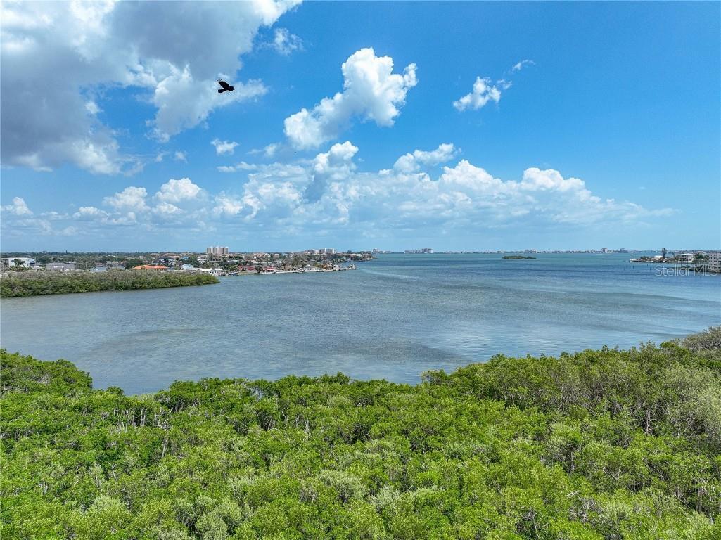 1332 Pasadena Avenue S #503 South Pasadena FL 33707 - BOCA CIEGA BAY & INTRACOASTAL TB8379394 image1