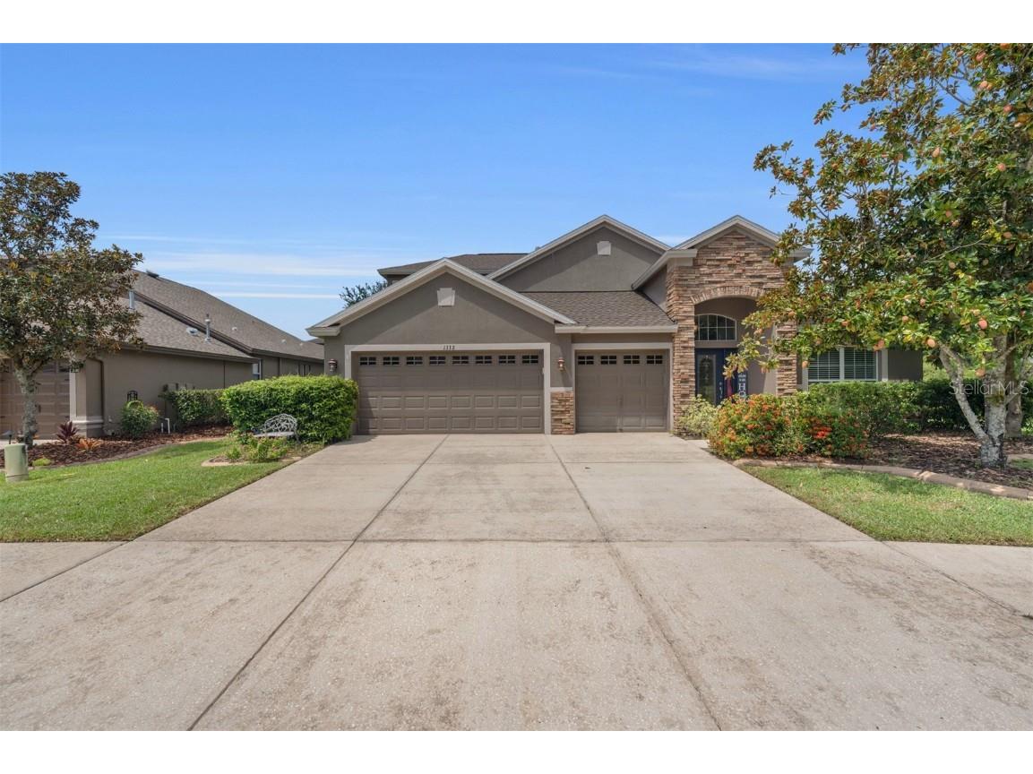 1332 Salmonberry Street Wesley Chapel FL 33543 T3470505 image1