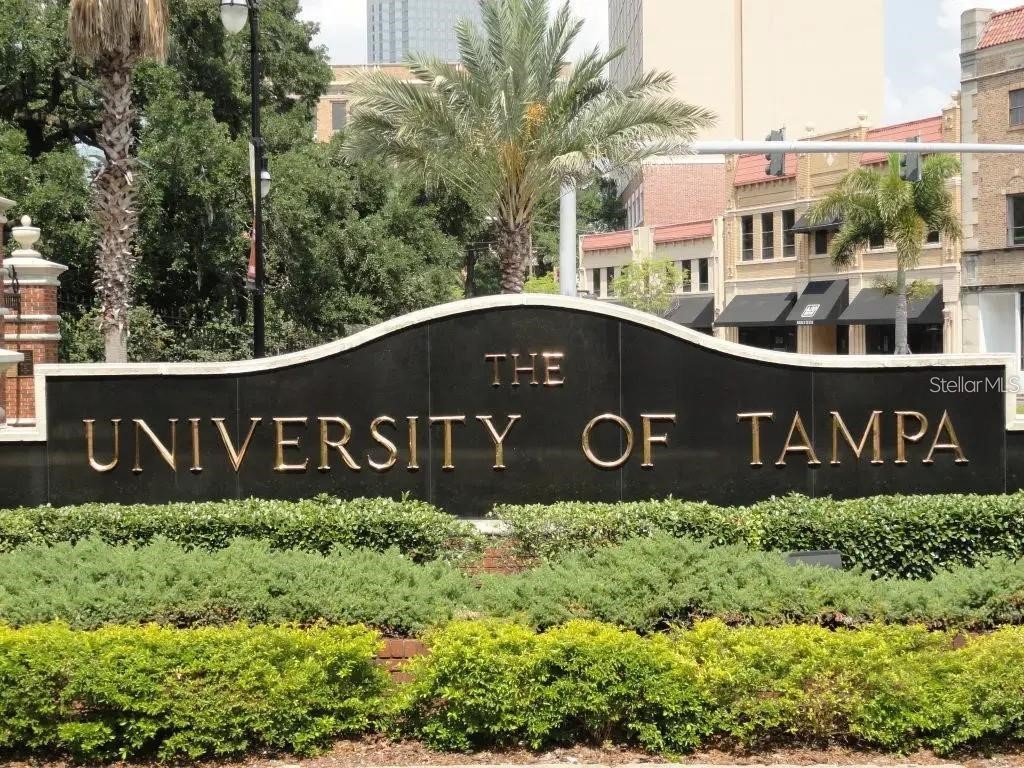 1332 W Gray Street #5 Tampa FL 33606 TB8496312 image31