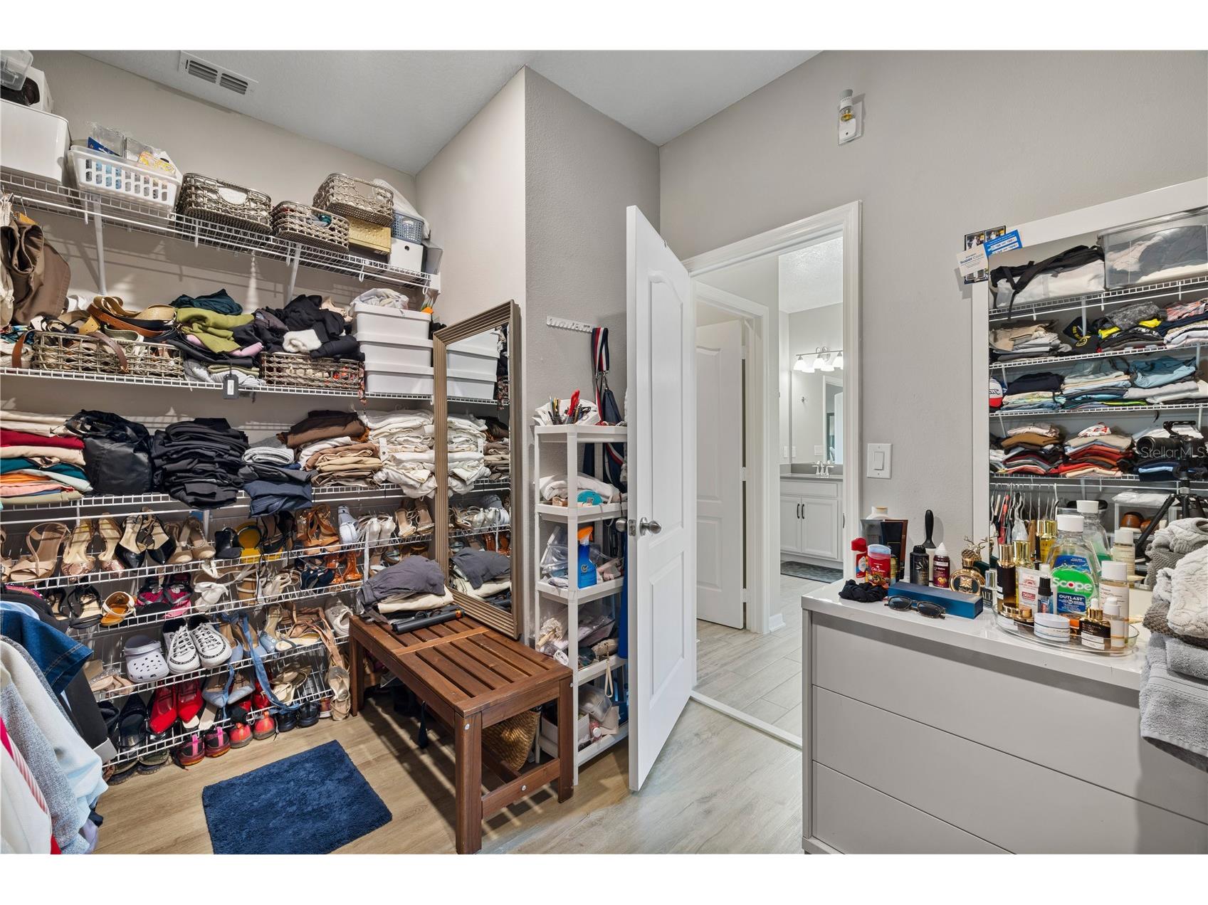 13320 Magnolia Valley Drive Clermont FL 34711 O6414839 image46