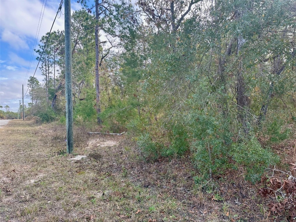 13320 Potomac Avenue Brooksville FL 34614 TB8333461 image1