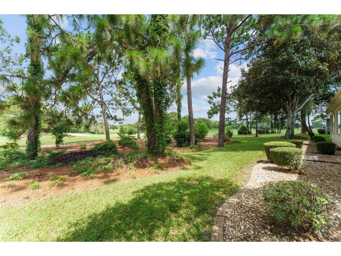 13320 SE 97th Terrace Road Summerfield FL 34491 OM704998 image5