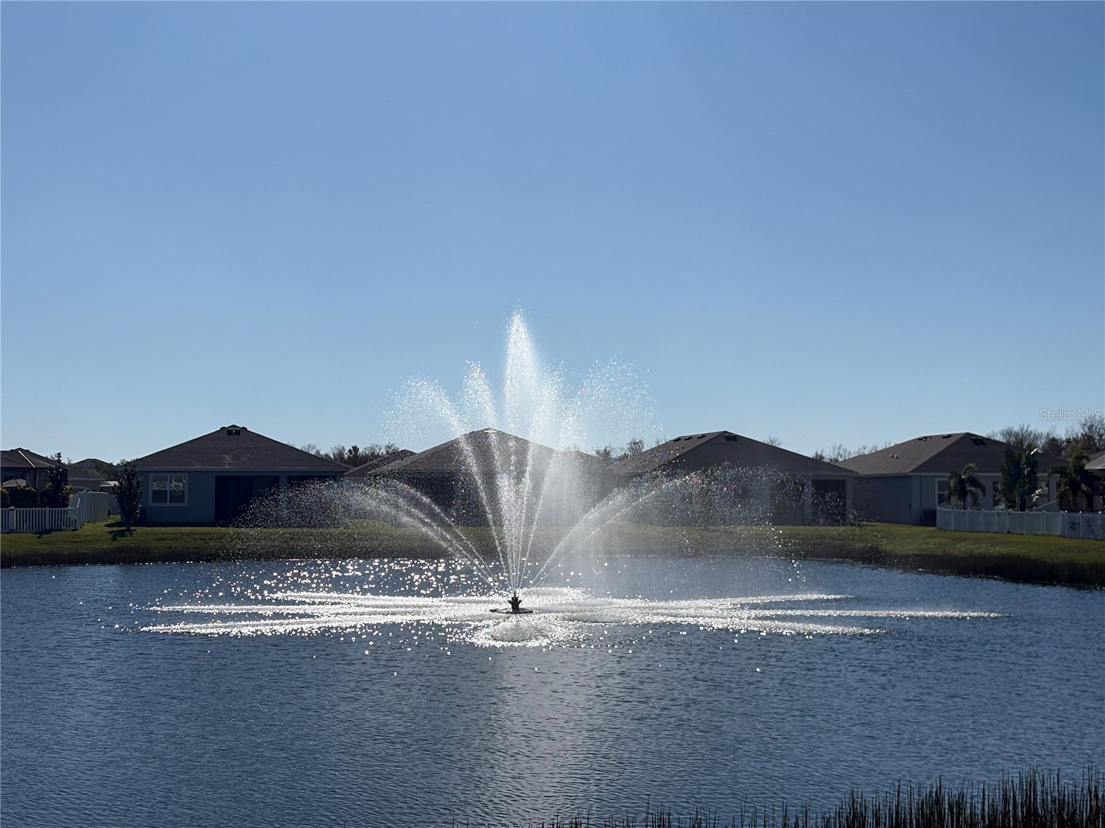 13320 Waterleaf Garden Circle Riverview FL 33579 W7880009 image2