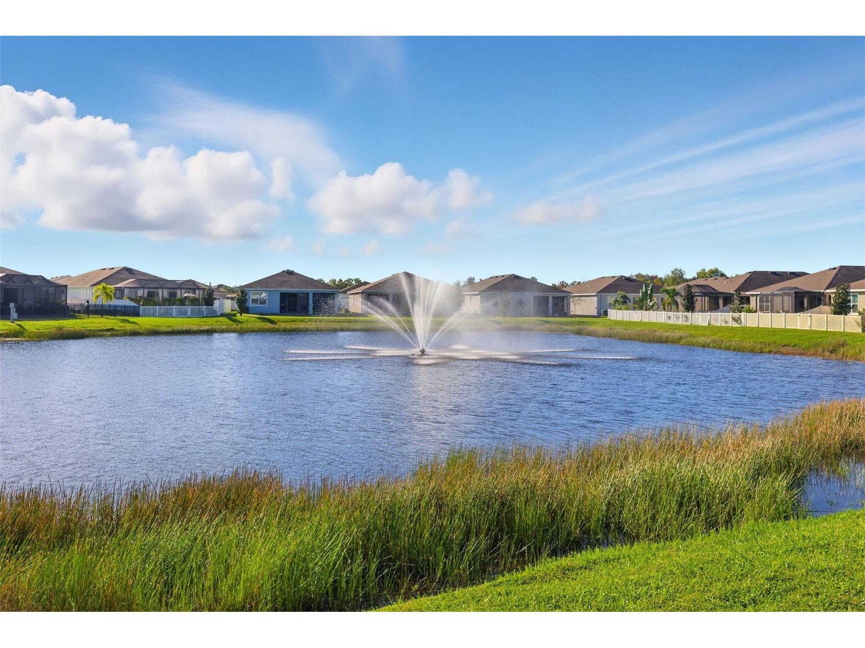 13320 Waterleaf Garden Circle Riverview FL 33579 W7880009 image32