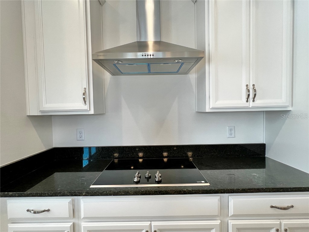 13321 Camborne Place Orlando FL 32832 O6346142 image15