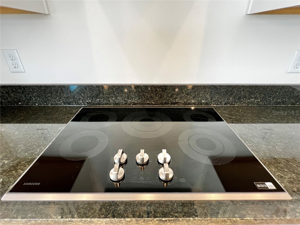 13321 Camborne Place Orlando FL 32832 O6346142 image16