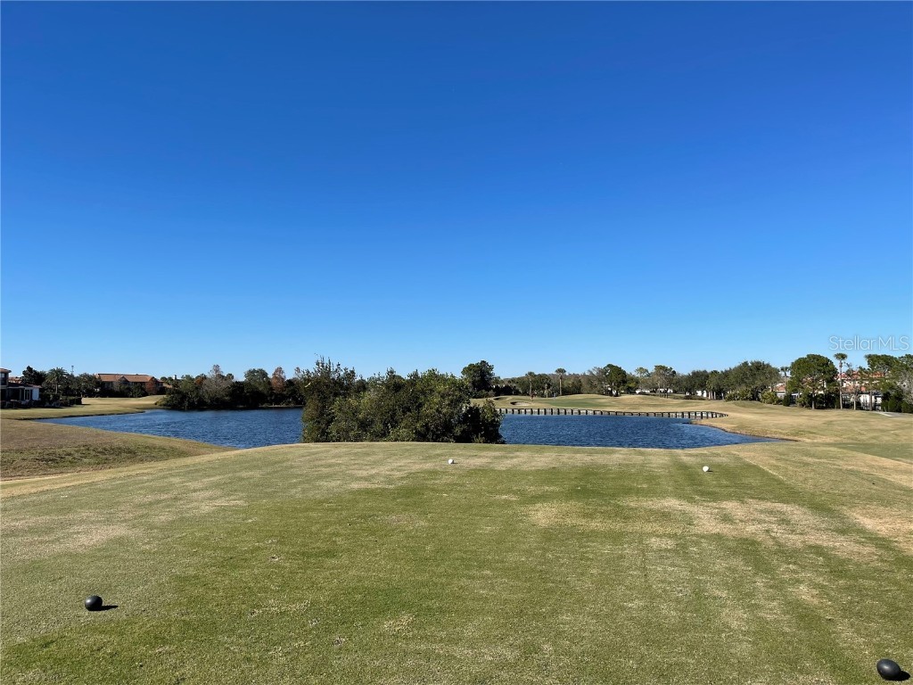 13321 Camborne Place Orlando FL 32832 O6346142 image75