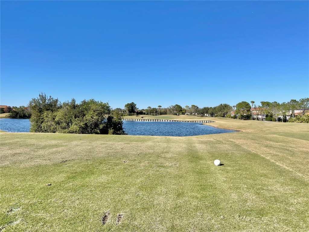 13321 Camborne Place Orlando FL 32832 O6346142 image76