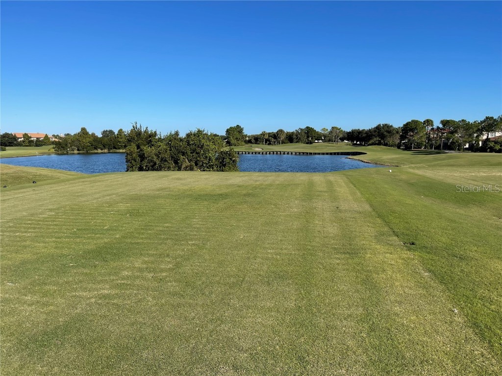 13321 Camborne Place Orlando FL 32832 O6346142 image80