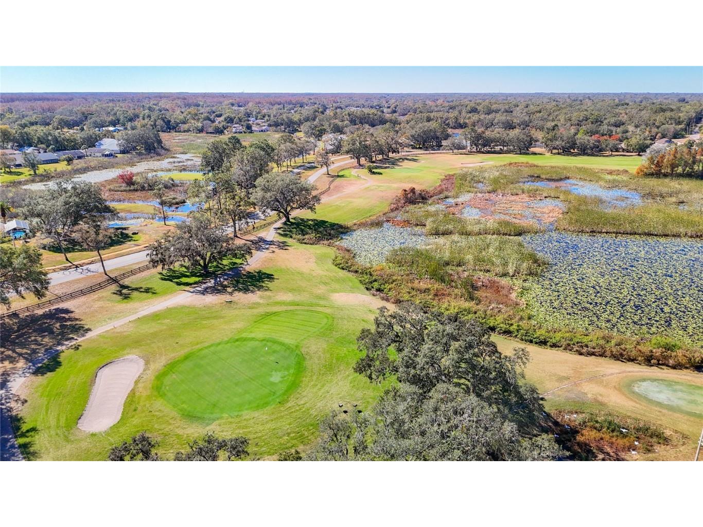 13321 Norman Circle Hudson FL 34669 W7876751 image69