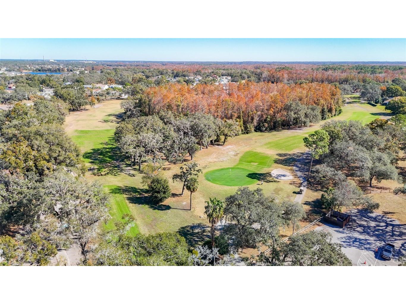 13321 Norman Circle Hudson FL 34669 W7876751 image71