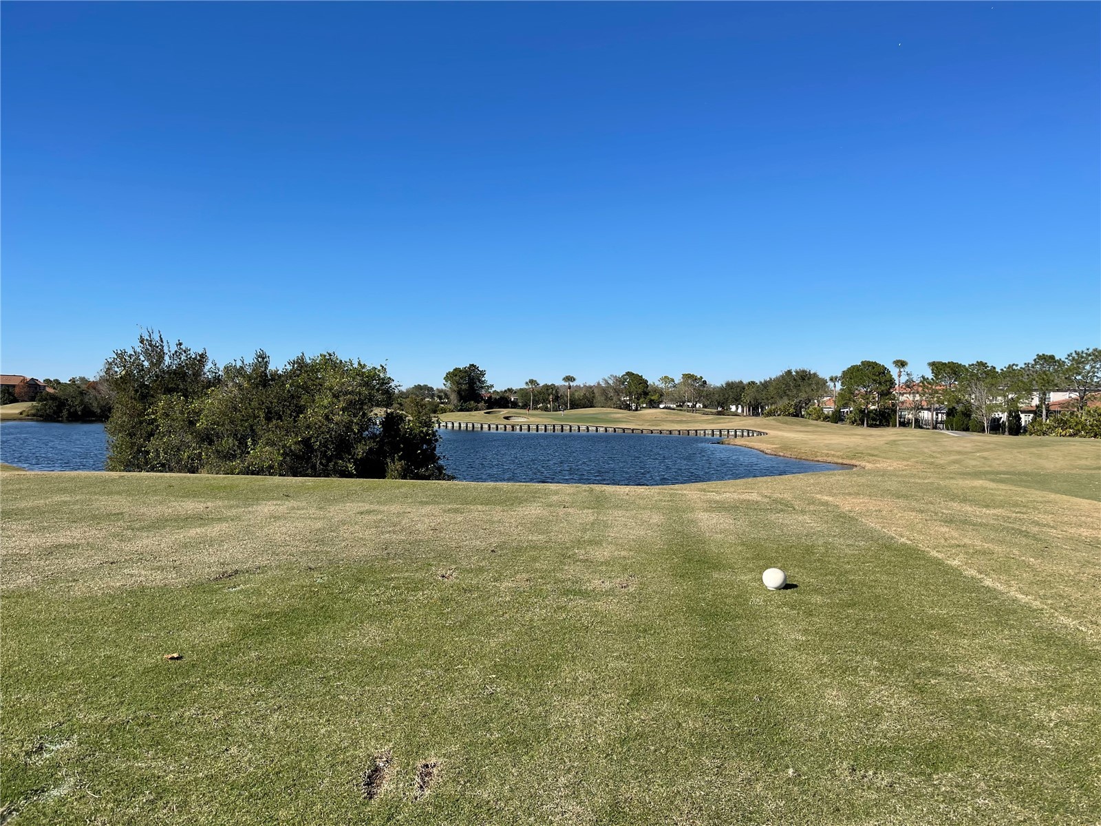13321 Oakenshaw Lane Orlando FL 32832 O6383827 image55