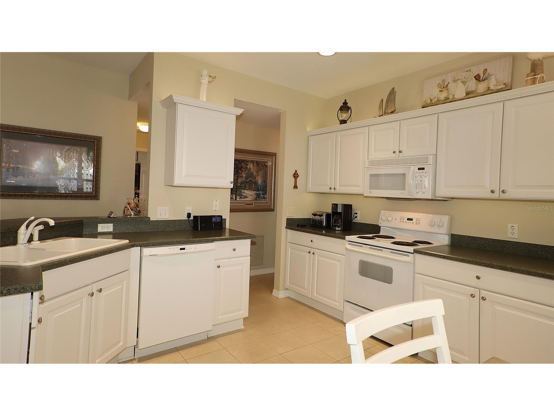 13322 SE 86th Circle Summerfield FL 34491 G5113560 image10