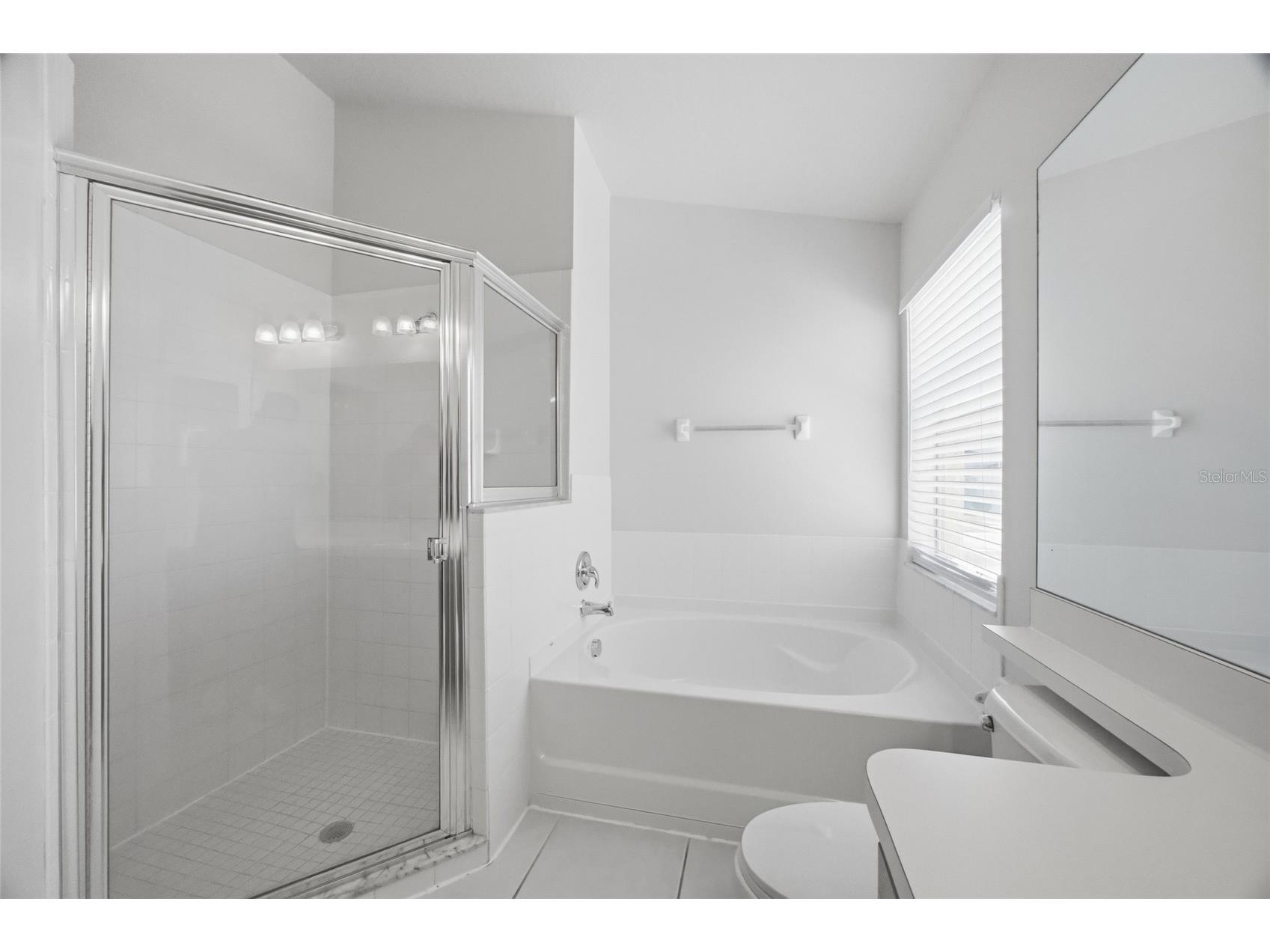 13323 Bainbridge Way Spring Hill FL 34609 TB8480812 image13