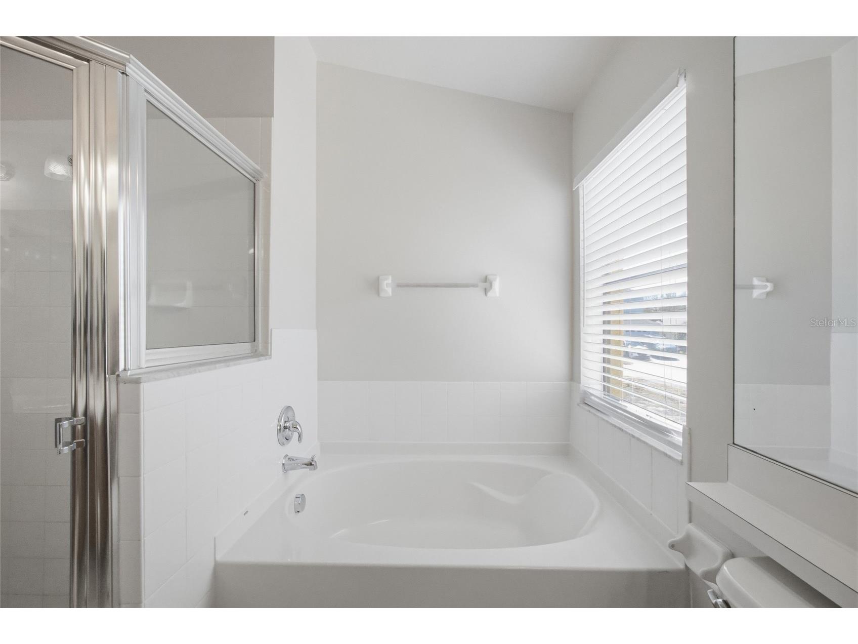 13323 Bainbridge Way Spring Hill FL 34609 TB8480812 image14