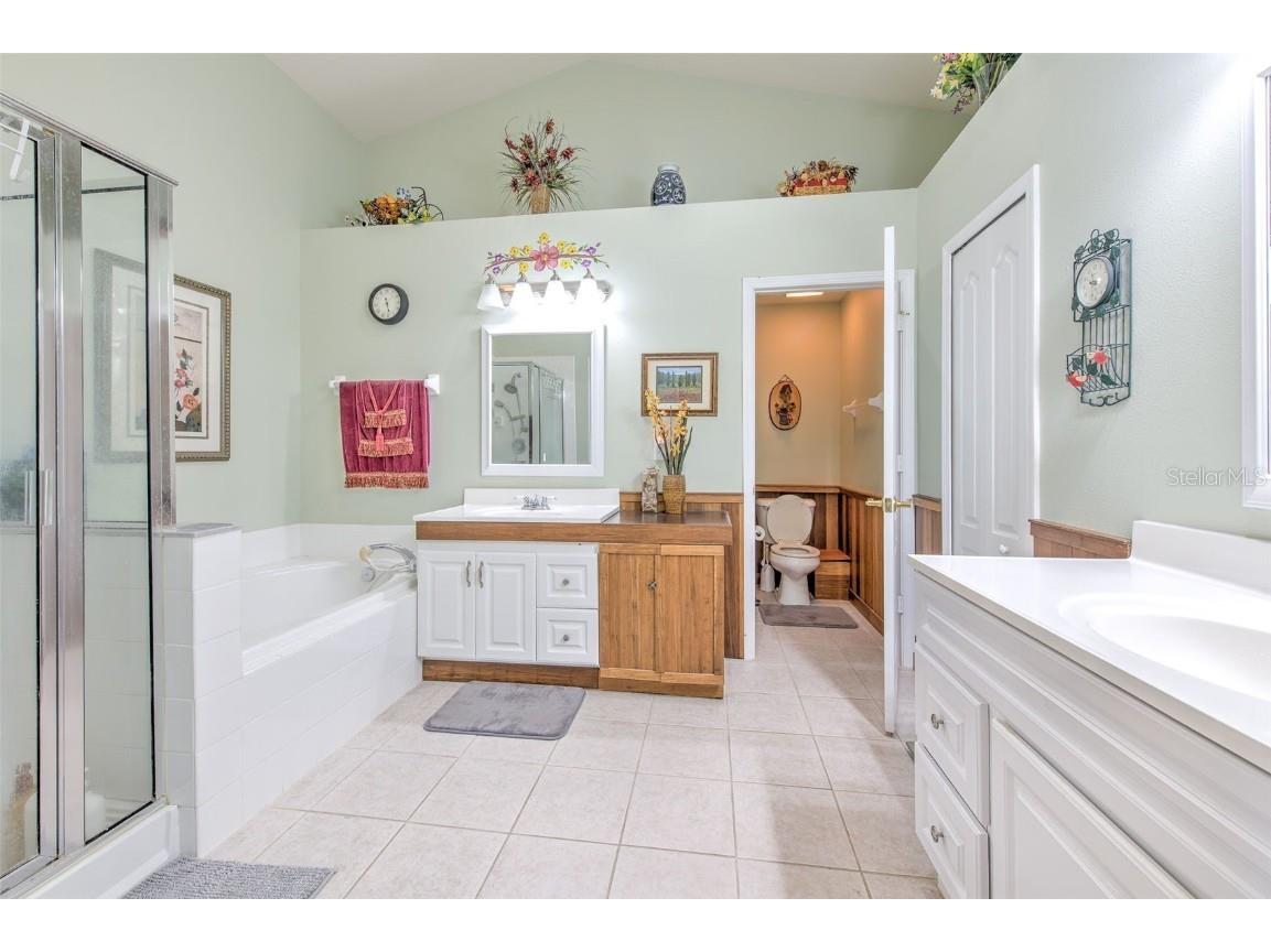 13326 Evening Sunset Lane Riverview FL 33579 TB8446107 image24