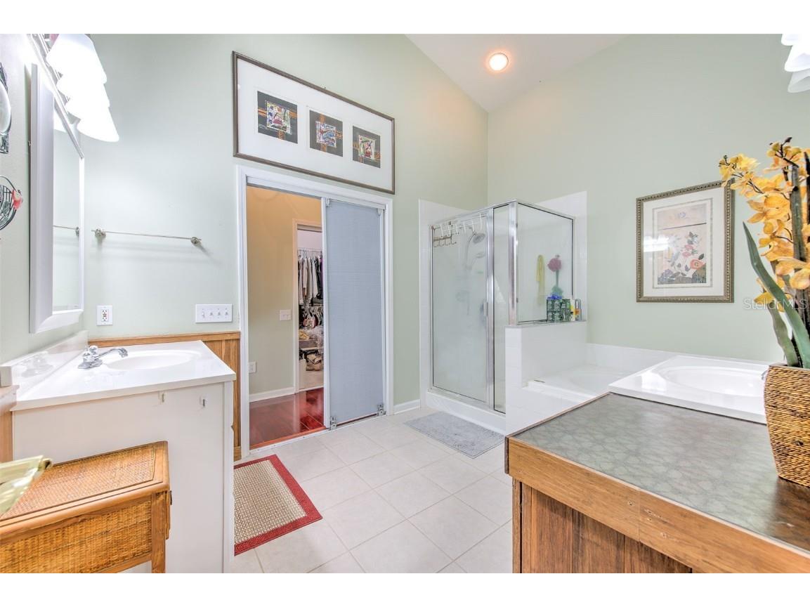 13326 Evening Sunset Lane Riverview FL 33579 TB8446107 image25