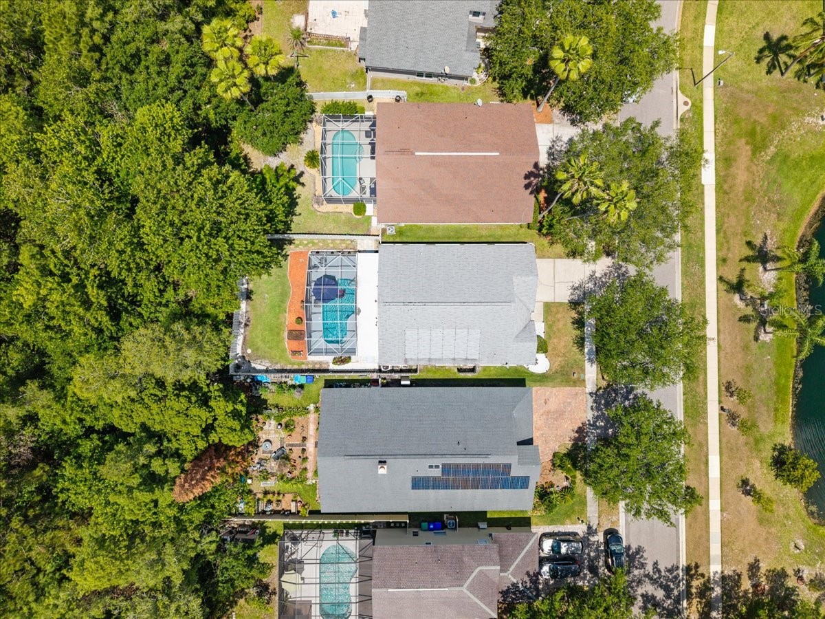13326 Heron Cove Drive Orlando FL 32837 O6410996 image43