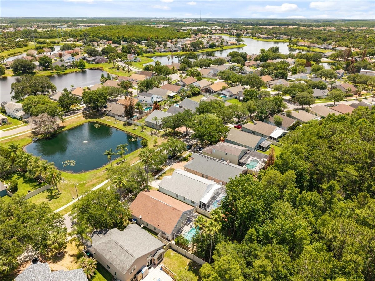 13326 Heron Cove Drive Orlando FL 32837 O6410996 image44