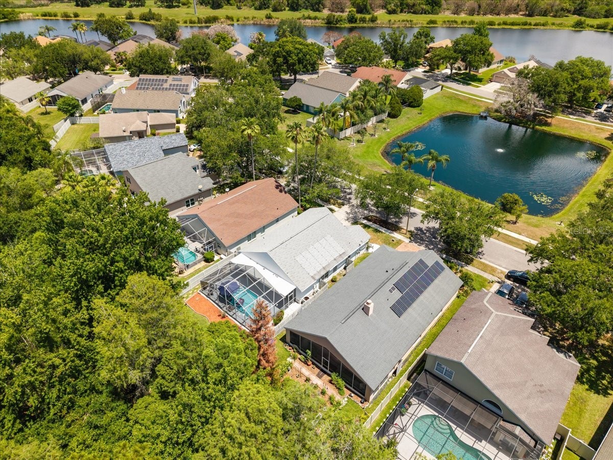 13326 Heron Cove Drive Orlando FL 32837 O6410996 image47