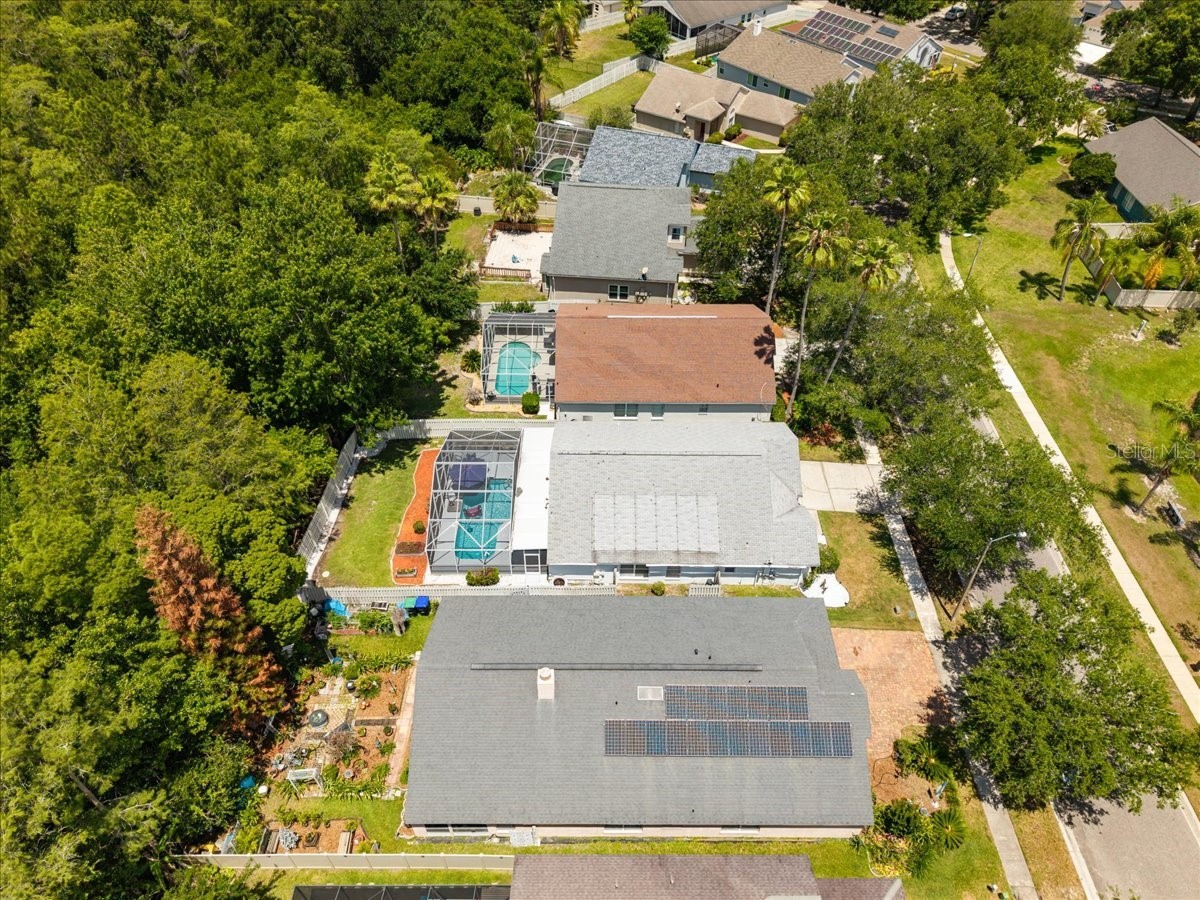 13326 Heron Cove Drive Orlando FL 32837 O6410996 image48