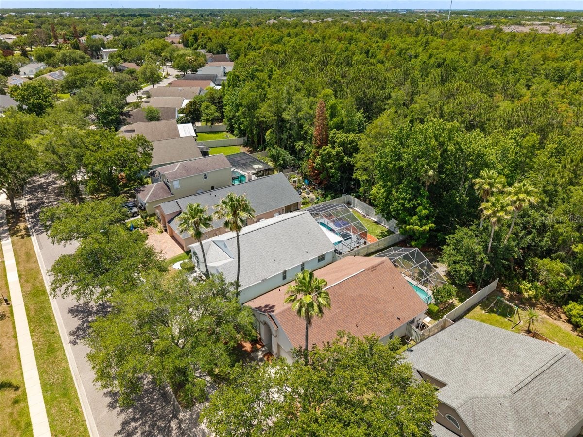 13326 Heron Cove Drive Orlando FL 32837 O6410996 image51