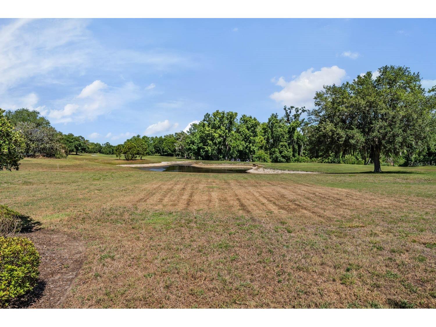 13327 Carnoustie Circle Dade City FL 33525 TB8504409 image15