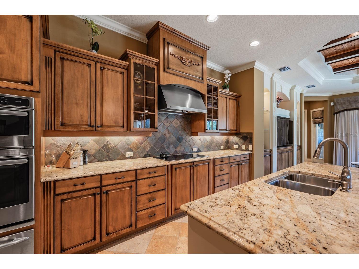 13327 Carnoustie Circle Dade City FL 33525 TB8504409 image19