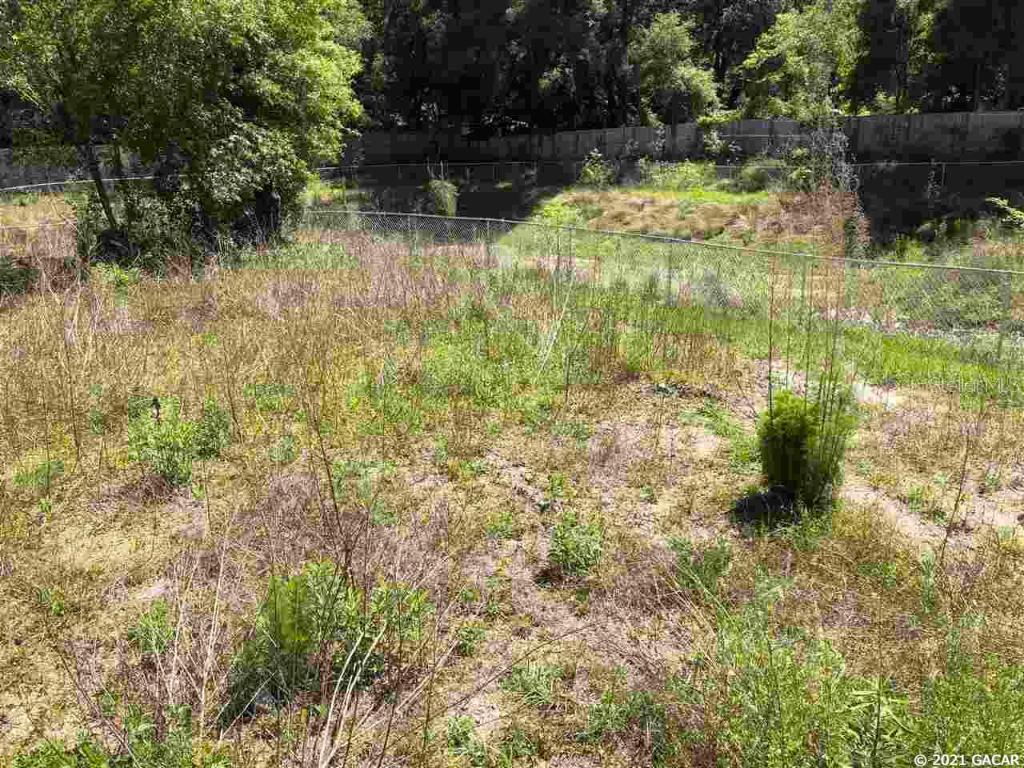 13327 W Newberry Road Newberry FL 32669 GC442984 image2