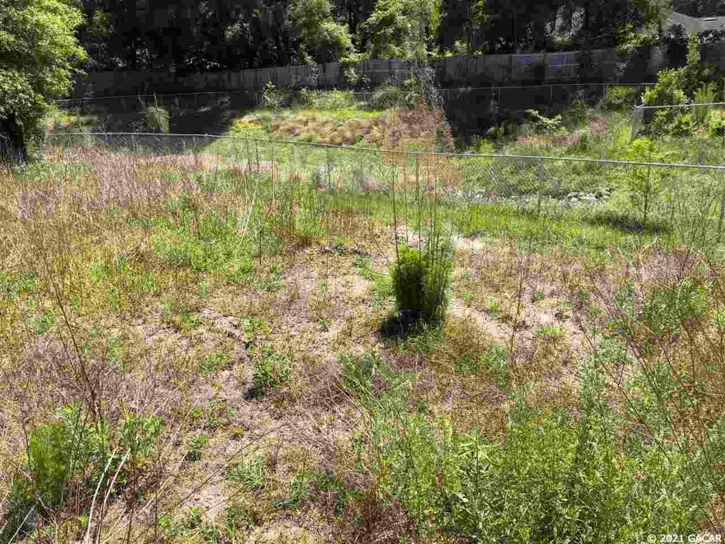 13327 W Newberry Road Newberry FL 32669 GC442984 image6