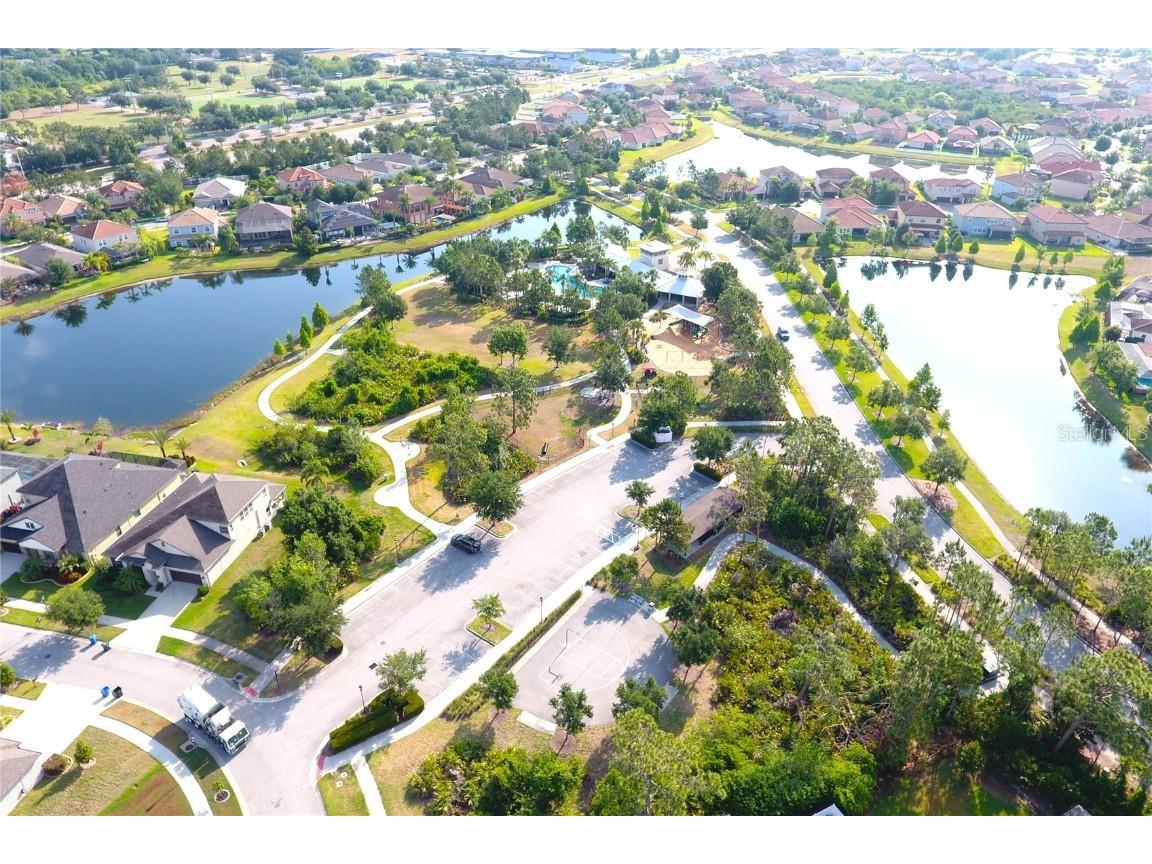 13327 Waterleaf Garden Circle Riverview FL 33579 TB8385627 image11