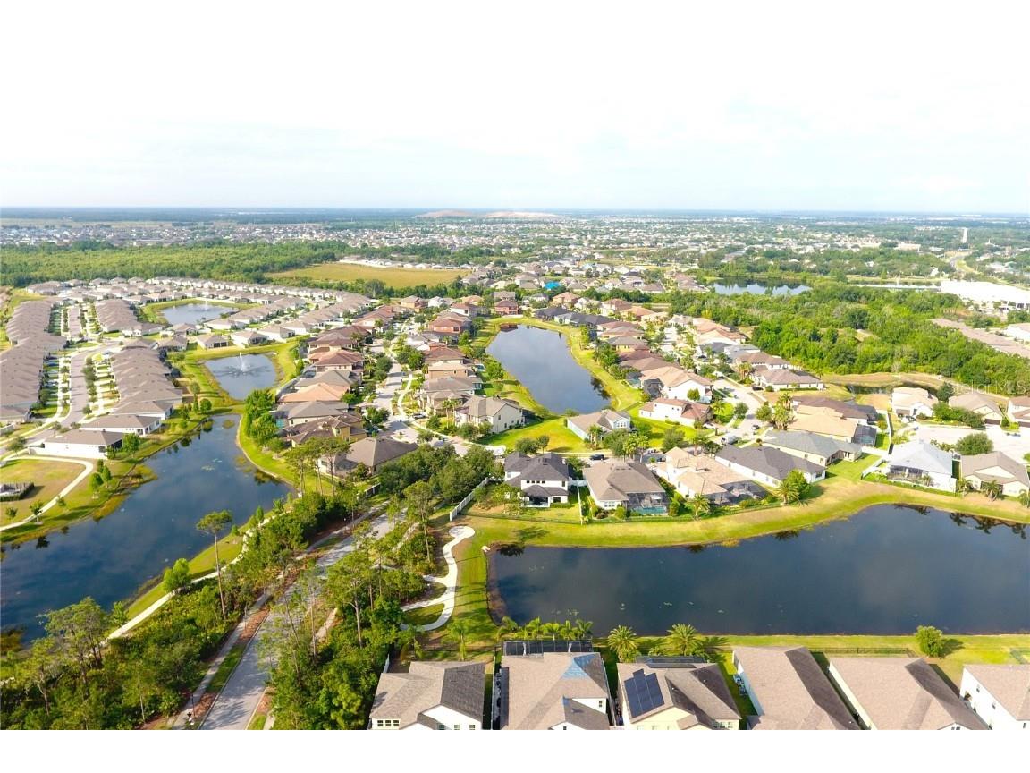 13327 Waterleaf Garden Circle Riverview FL 33579 TB8385627 image16