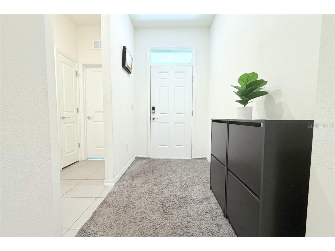 13327 Waterleaf Garden Circle Riverview FL 33579 TB8385627 image37