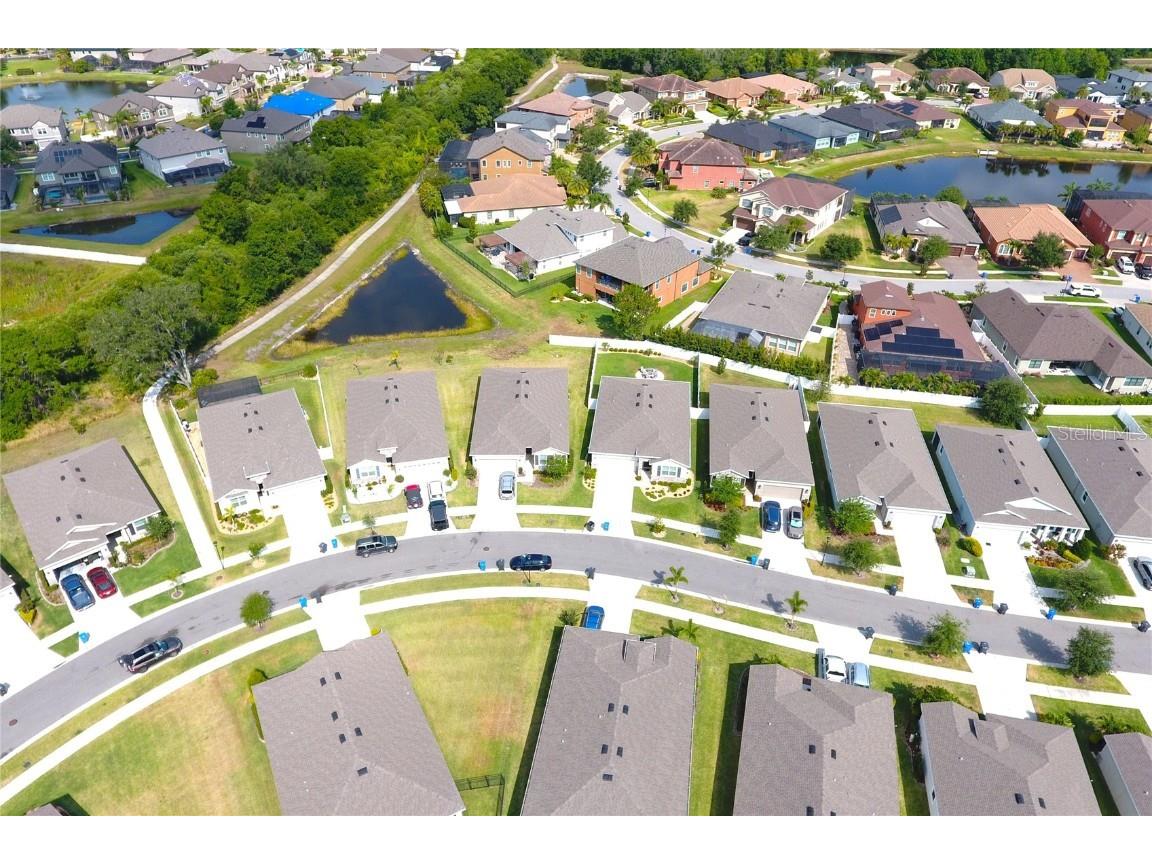 13327 Waterleaf Garden Circle Riverview FL 33579 TB8385627 image9