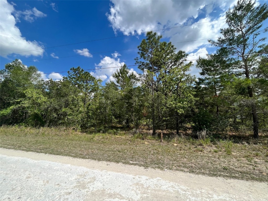 13328 Velvet Scoter Avenue Weeki Wachee FL 34614 T3446510 image1