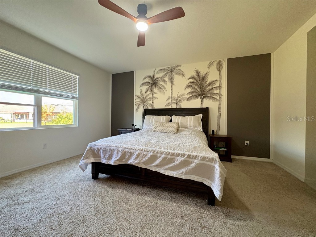 13329 Waterleaf Garden Circle Riverview FL 33579 TB8454000 image5