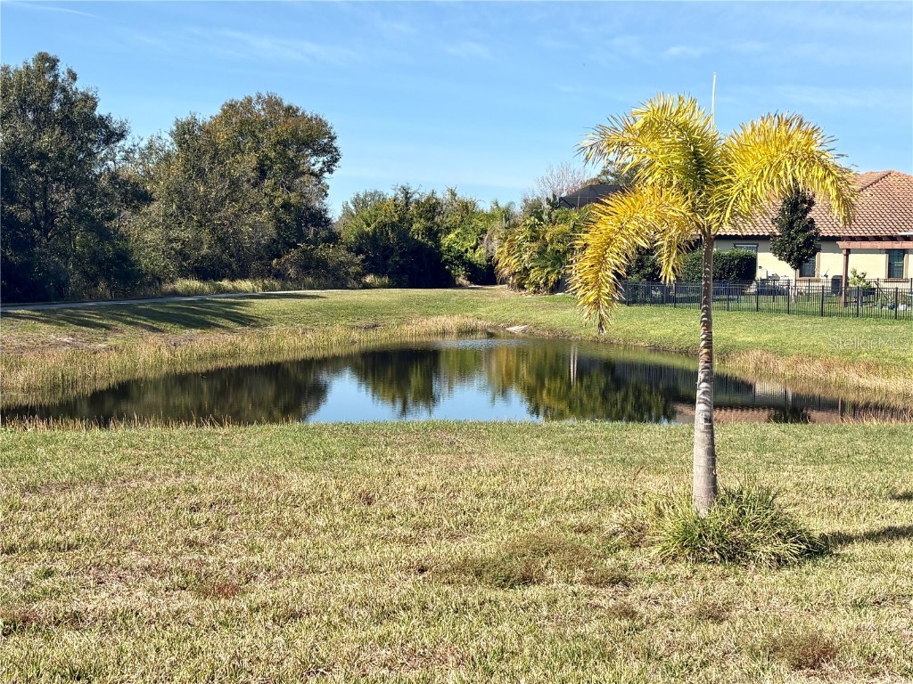 13329 Waterleaf Garden Circle Riverview FL 33579 TB8454000 image7