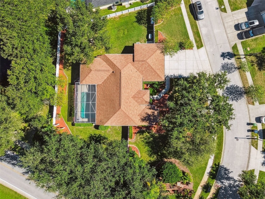 1333 Alana Court Lutz FL 33549 TB8422302 image4