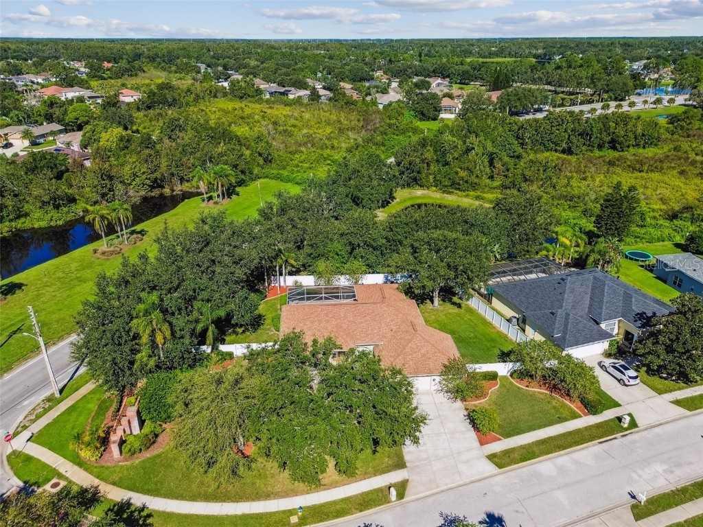 1333 Alana Court Lutz FL 33549 TB8422302 image5