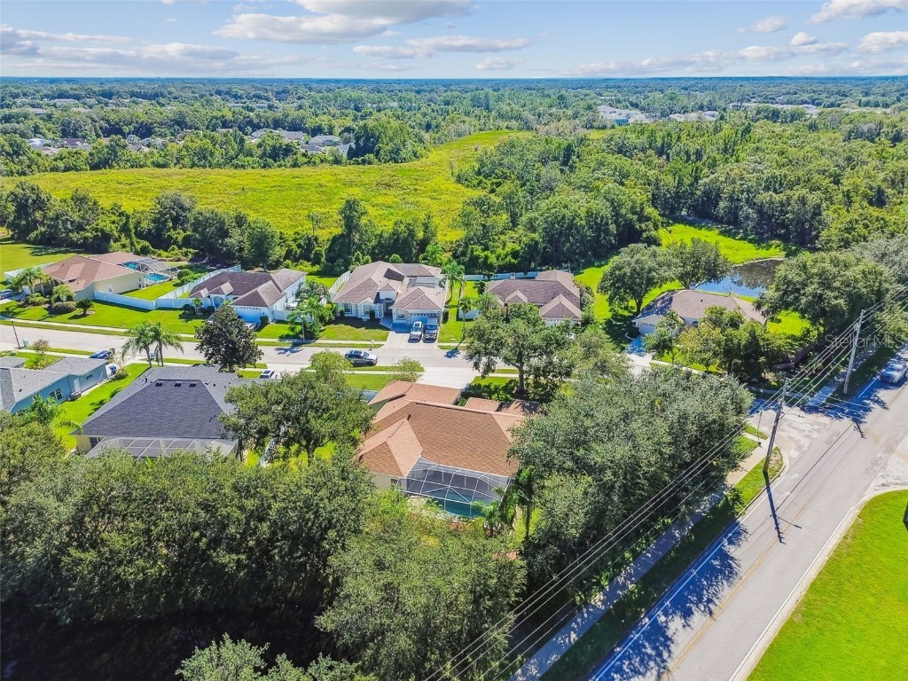 1333 Alana Court Lutz FL 33549 TB8422302 image69