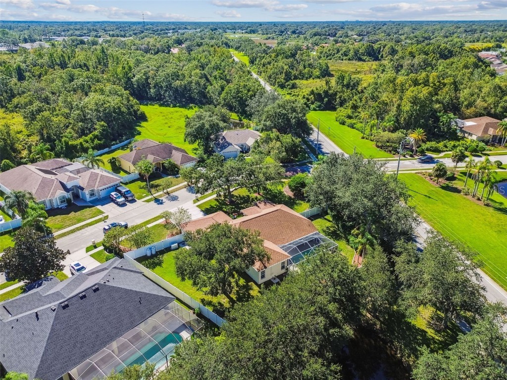 1333 Alana Court Lutz FL 33549 TB8422302 image71