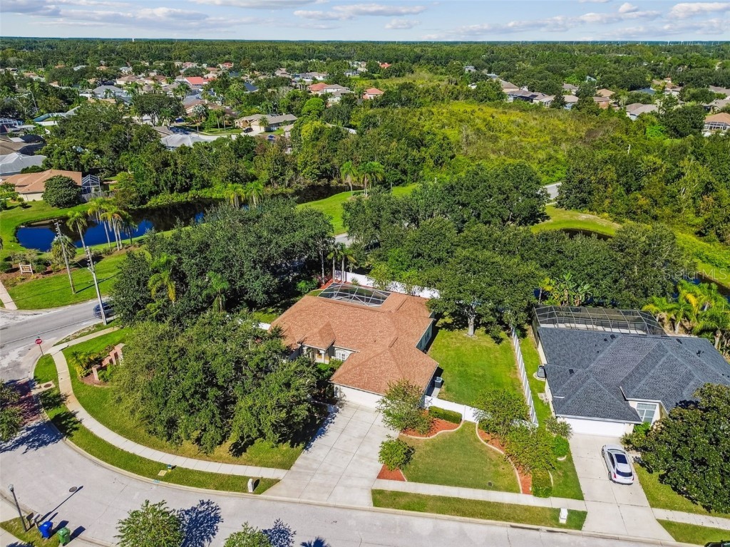 1333 Alana Court Lutz FL 33549 TB8422302 image73