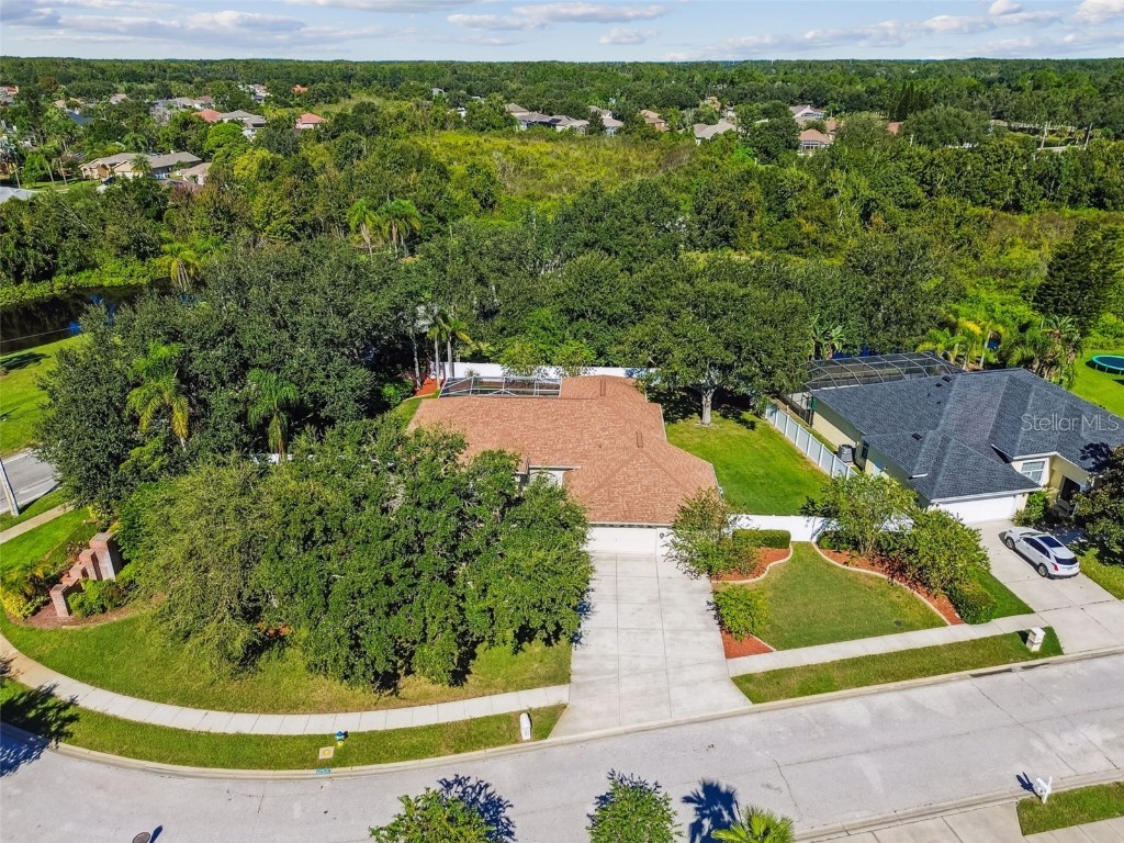 1333 Alana Court Lutz FL 33549 TB8422302 image75