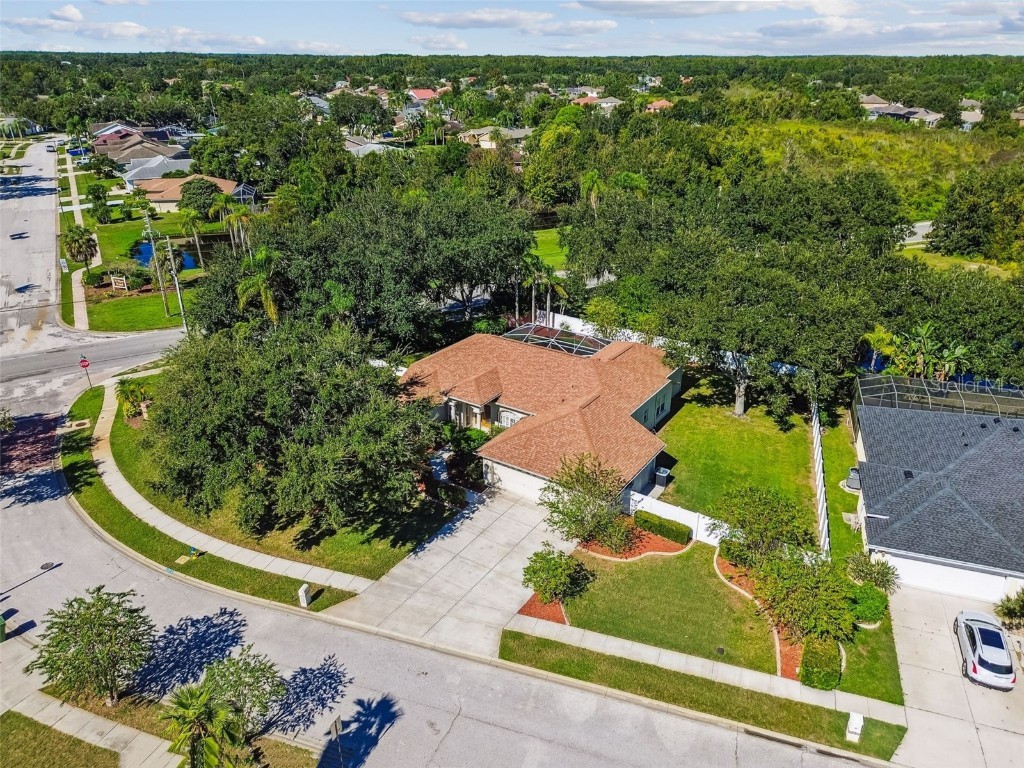 1333 Alana Court Lutz FL 33549 TB8422302 image76